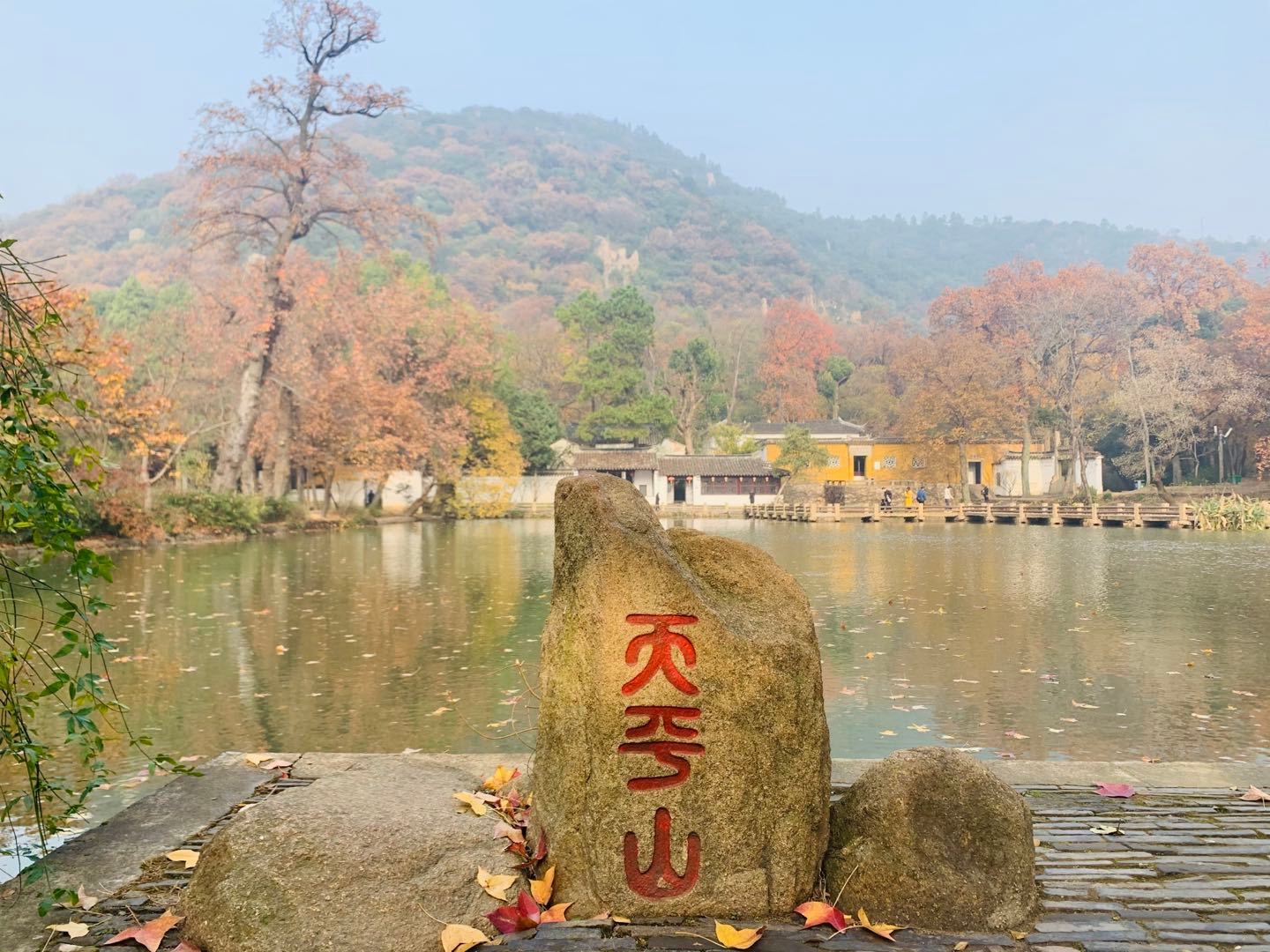 1669807840494264.png 圖片1.png